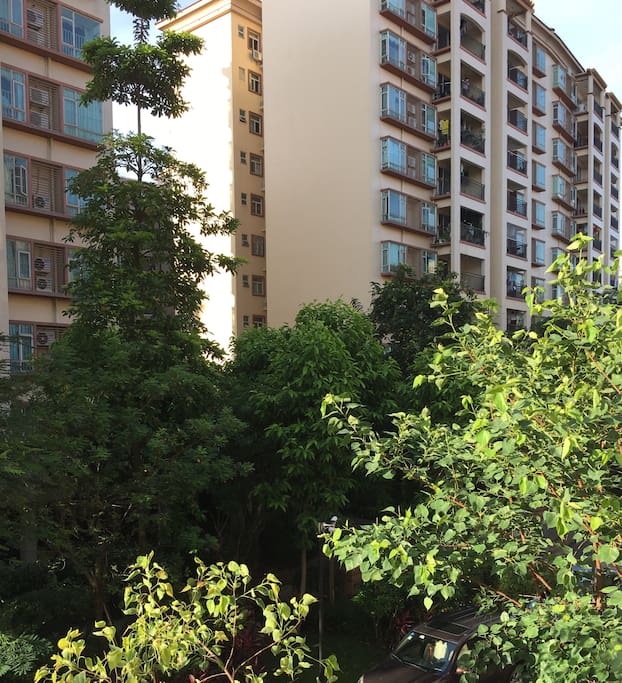 Fresh air with a lots of trees inside the community