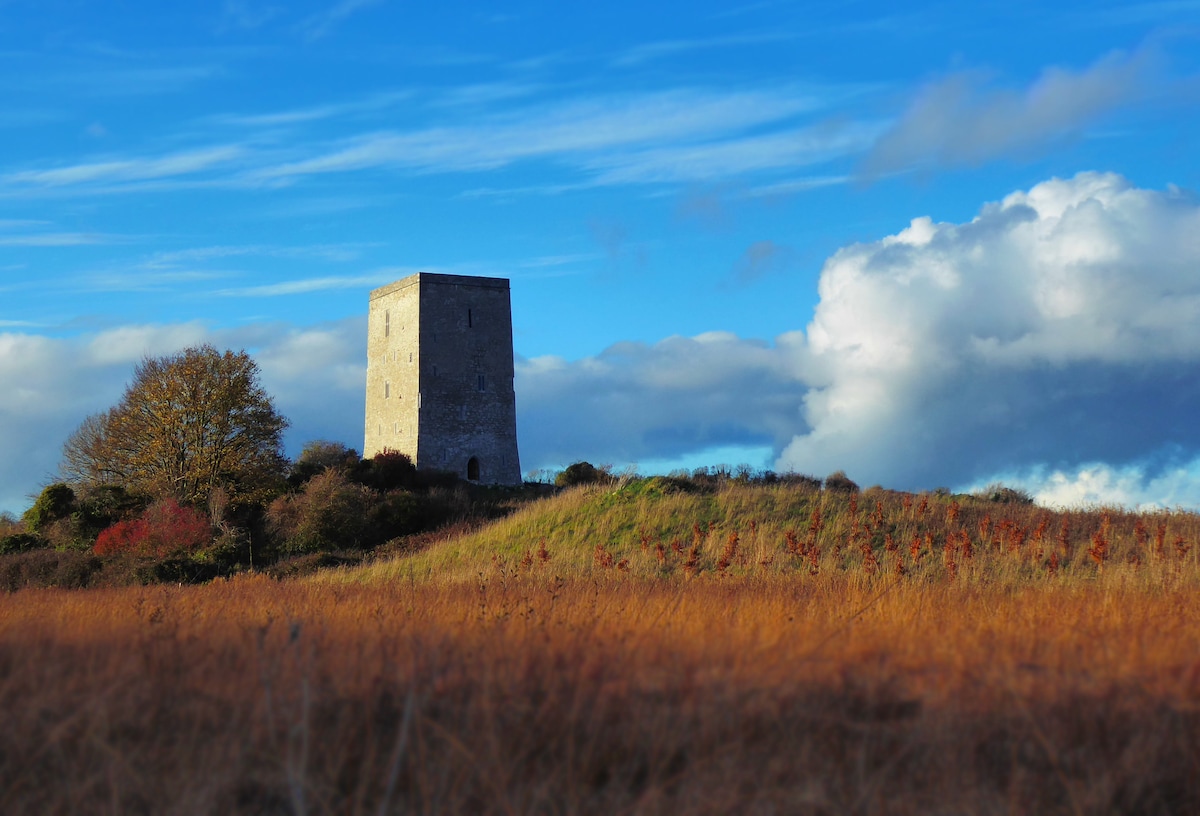 Black Castle (Site of) — Townparks (ballybrit By.)