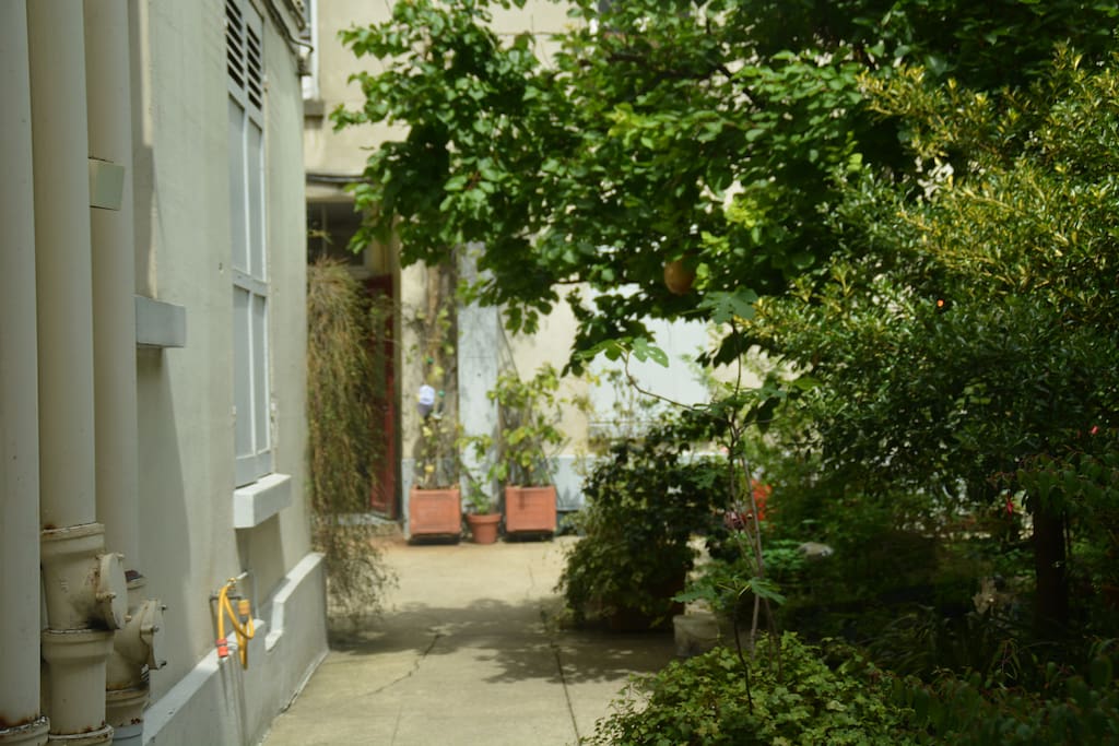 Cour / Courtyard