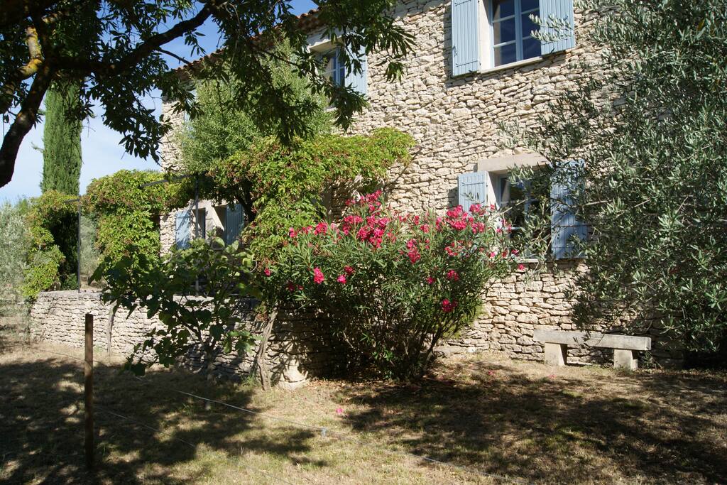 Façade et treille