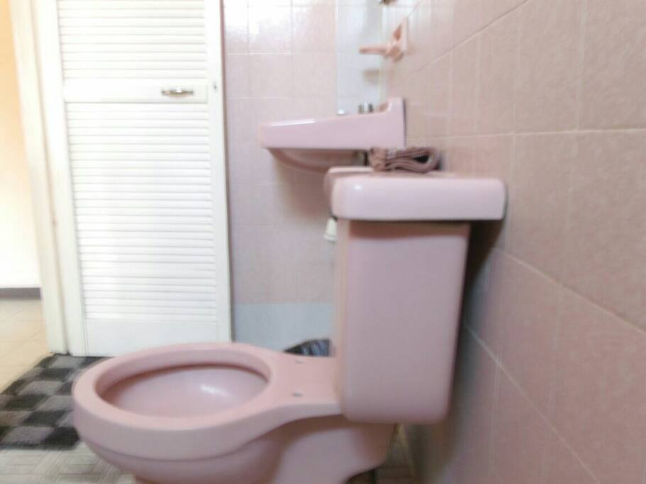 Baño completamente funcional siempre limpio con los detalles normales de uso.