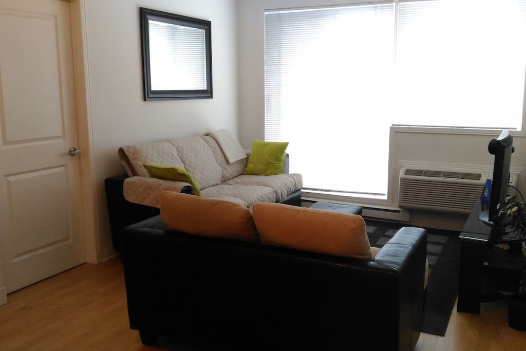 2 couches with coffee table, ottoman and flat screen TV