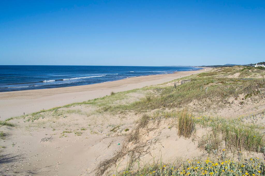 Vista desde el frente a la playa