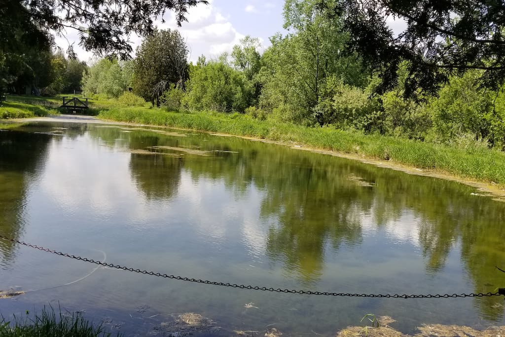 Pond