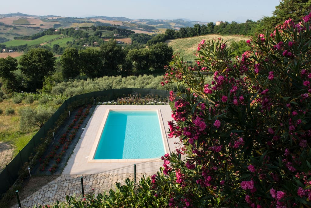Piscina - vista dall'alto