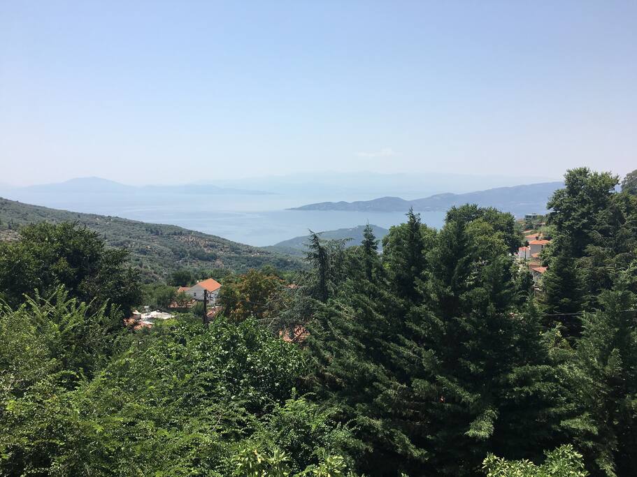 House view