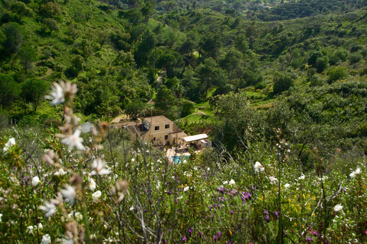 A serene landscape is filled with native flora, framing a two-story building nestled within greenery. The structure, featuring a terrace and a pool area, is set against a backdrop of rolling hills and trees, offering a peaceful retreat in nature.