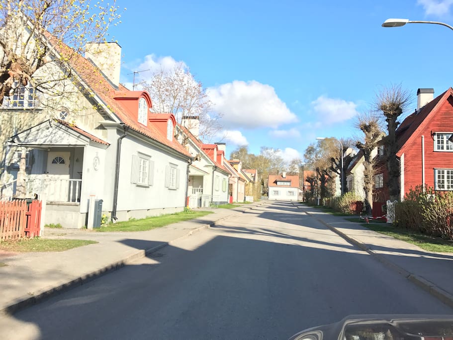 Our street.