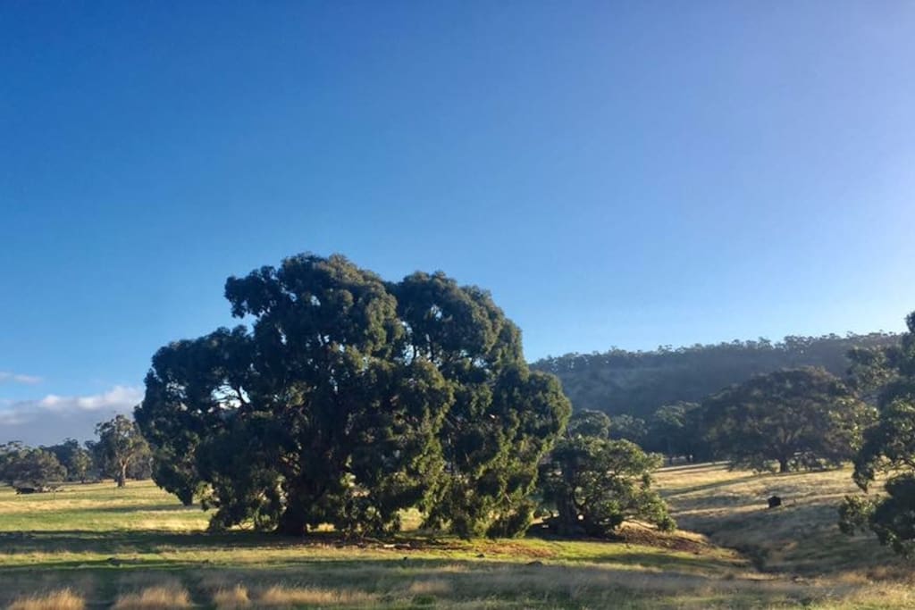 Plenty of farm land to relax whether walking or just sitting