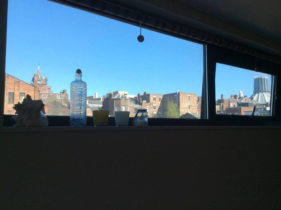 Window in the kitchen