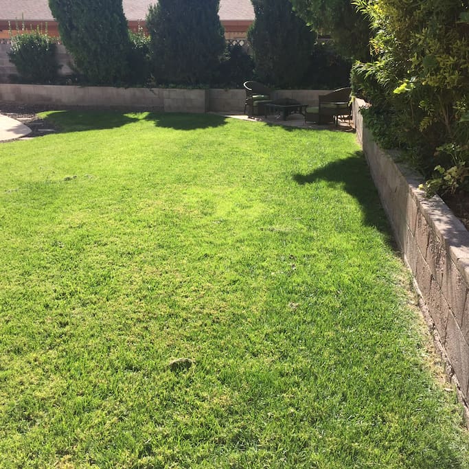 Backyard lawn great for any activity