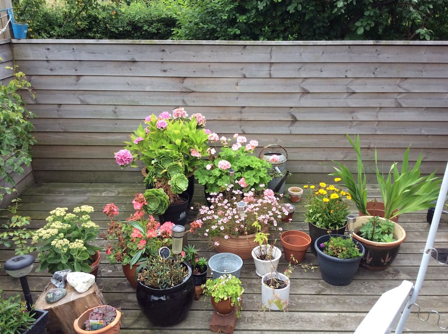 Skøn terrasse