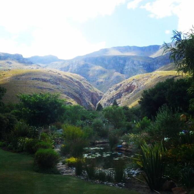 Exceptional mountain views.