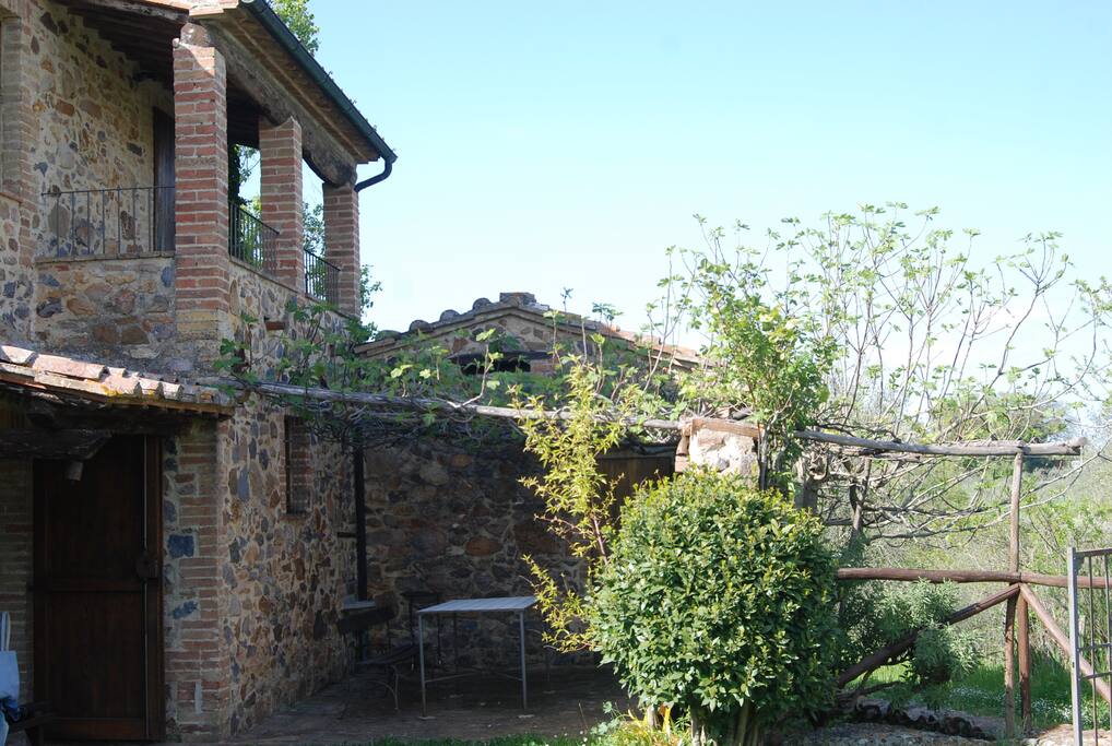 Tavolo sotto la pergola