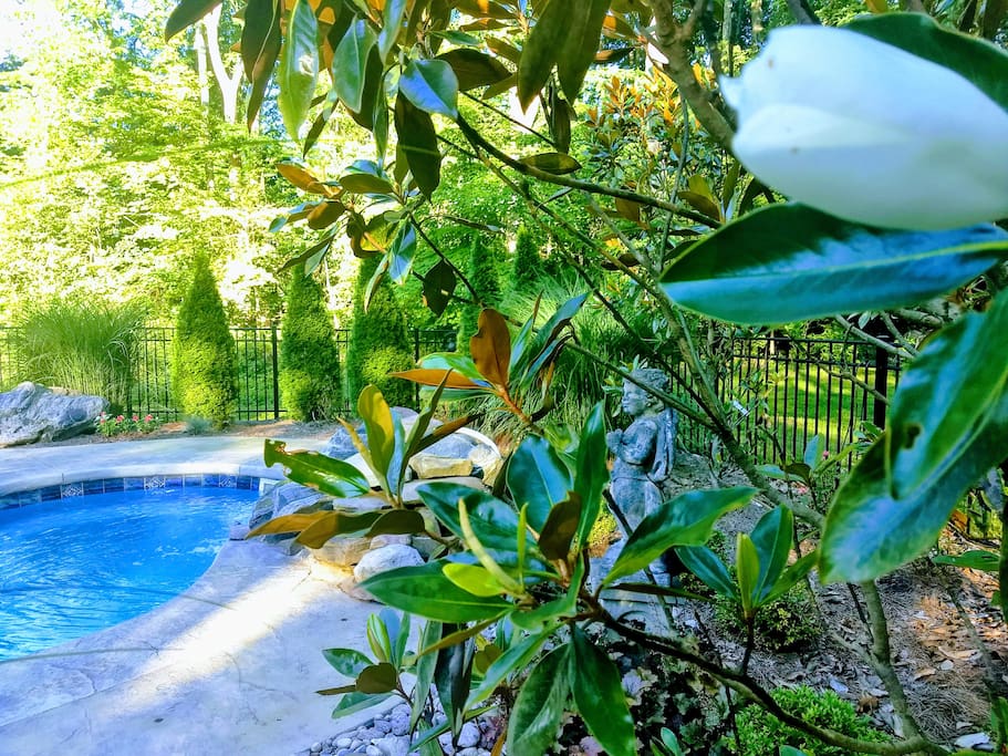 Magnolias, statuary and pool May-September