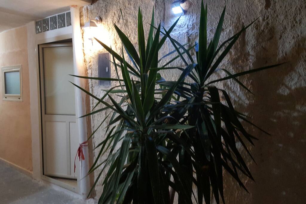 room calafatari