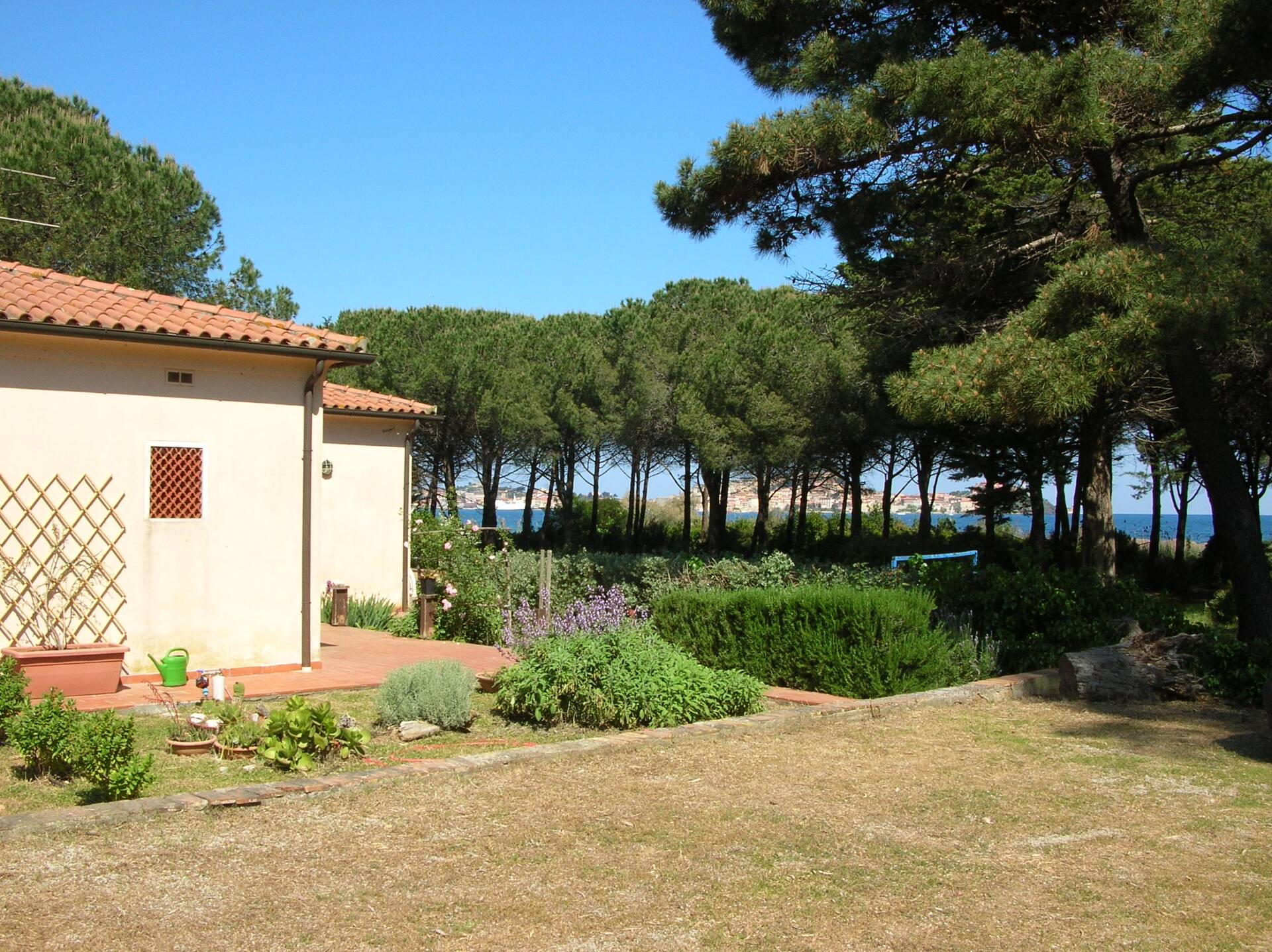 Villa nestled in a pine forest with access to the sea