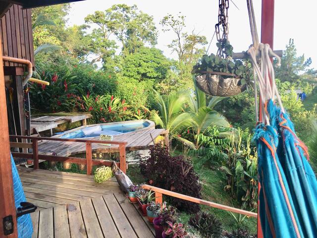 On the hill, ocean view jungle cabana w/pool