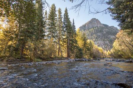 Waterfront 2BR on Ten Mile Creek off Main Street