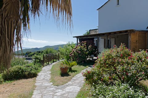 gite au coeur du cap corse