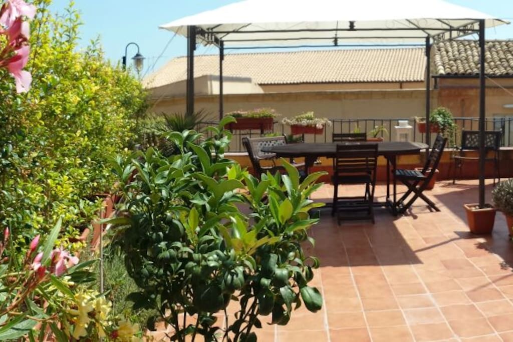 La terrazza