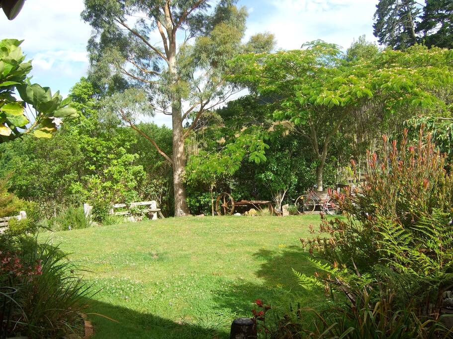 Main camping area