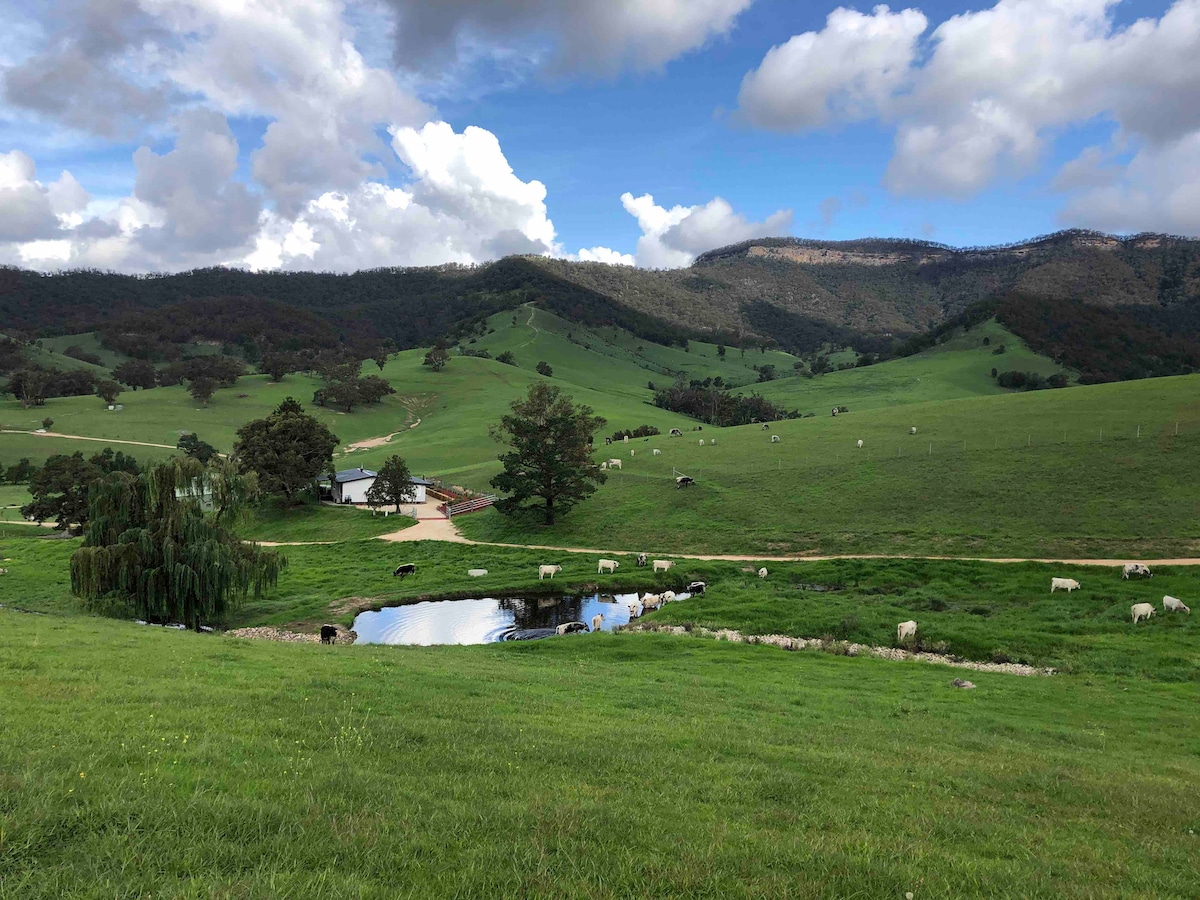 A lush green landscape features gentle rolling hills dotted with grazing cows. A tranquil pond reflects the surrounding scenery under a partly cloudy sky, while a farm building is positioned in the distance, framed by trees.