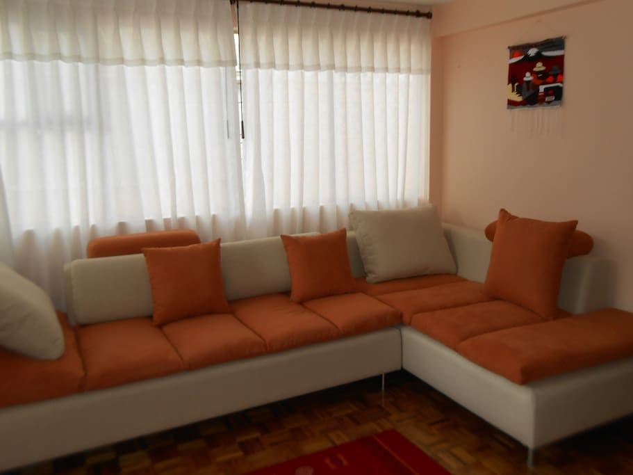 very confortable american style sofa
