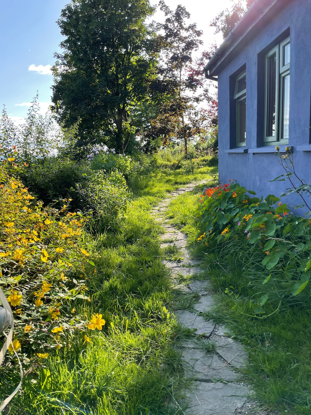 A stone pathway meanders alongside vibrant wildflowers and lush greenery, leading towards a charming blue house. Sunlight filters through the trees, casting dappled shadows on the path, which is bordered by colorful blooms, enhancing the natural setting.