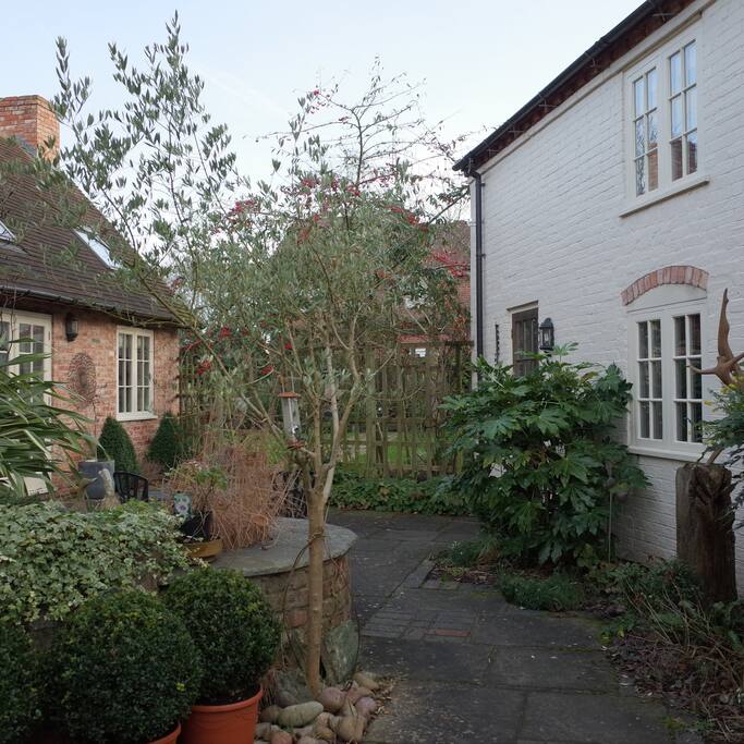 View into the garden from the side entrance