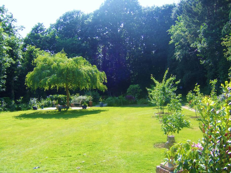 Garden