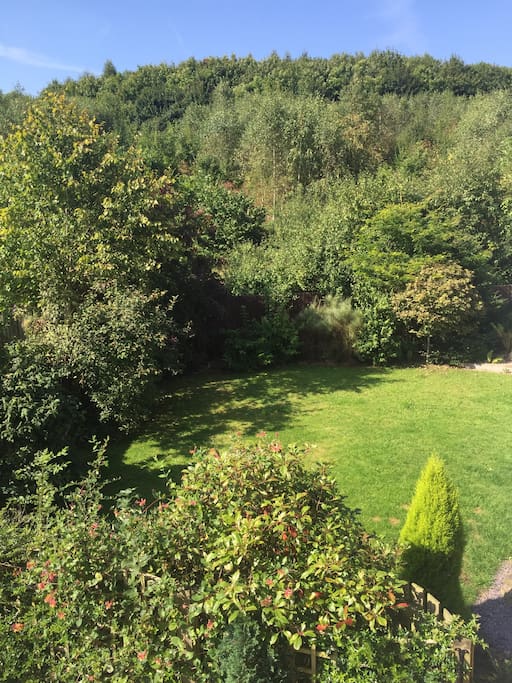View of the rear lawn and woodland from the bathroom window