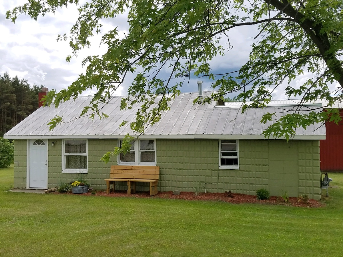 The cabin exterior features a green facade with a prominent light-colored metal roof. A wooden bench is positioned on the front porch, framed by manicured grass and shrubs. Tall trees provide shade, while a red barn is visible in the background.