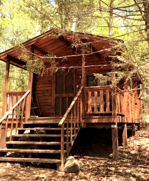 A rustic log cabin is framed by a canopy of trees, featuring a welcoming front porch accessed by wooden steps. The exterior showcases natural wood tones, blending harmoniously with the surrounding landscape. The structure includes a door and multiple windows, inviting light indoors.