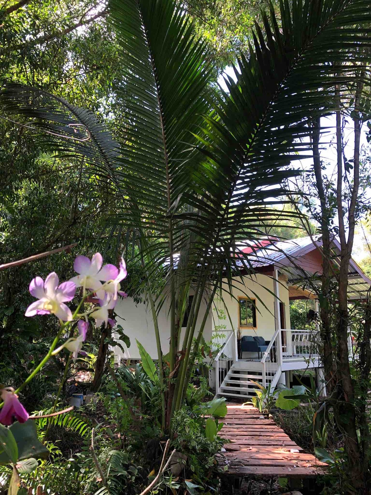 A charming retreat is set amid lush greenery, framed by tall palm fronds. A wooden walkway leads to the entrance, where a small porch is visible. Delicate purple orchids add a touch of color, enhancing the natural surroundings.