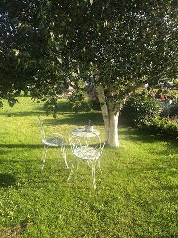 Wald- Wiese- Weitsicht