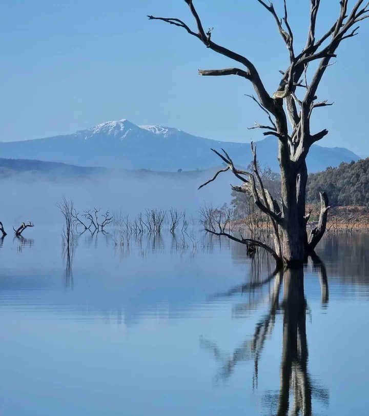 Top 10 PetFriendly Airbnbs Near Lake Eildon, Australia Trip101