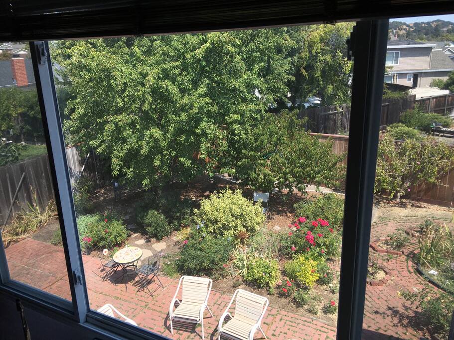 Garden view from the upstairs window