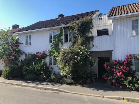 Top performing Airbnb: Comfortable apartment with roof terrace in Agder