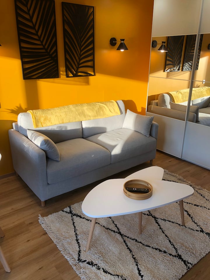 Sofa ( sofa) i dnevni boravak