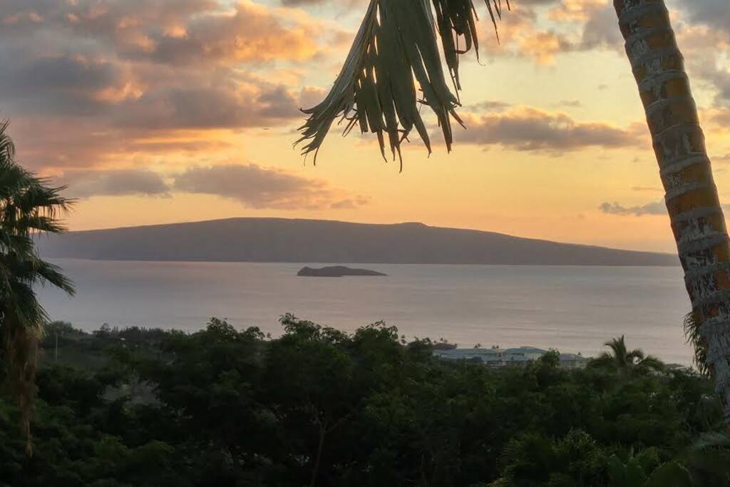 Taken by one of our guests from cottage.