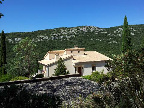 villa with swimming pool