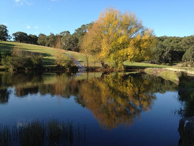 Springview Farm Glamping – Farm stay