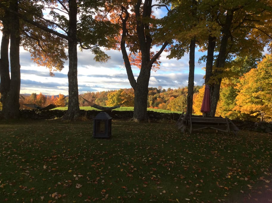 Backyard in Fall