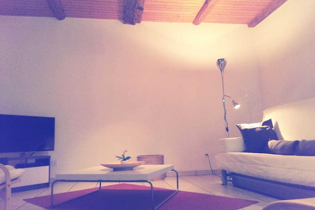 Salon avec beaucoup de luminosité, comprenant un canapé trois places (convertible en lit pour deux personnes), deux fauteuils individuels et une TV écran plat. Place suffisante pour accueillir un lit supplémentaire. Splendide vue sur les pâturages.