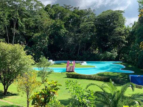 Enchanted Home Resort Forest