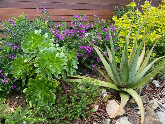 BUNDEENA! Paradise found. gallery image 4