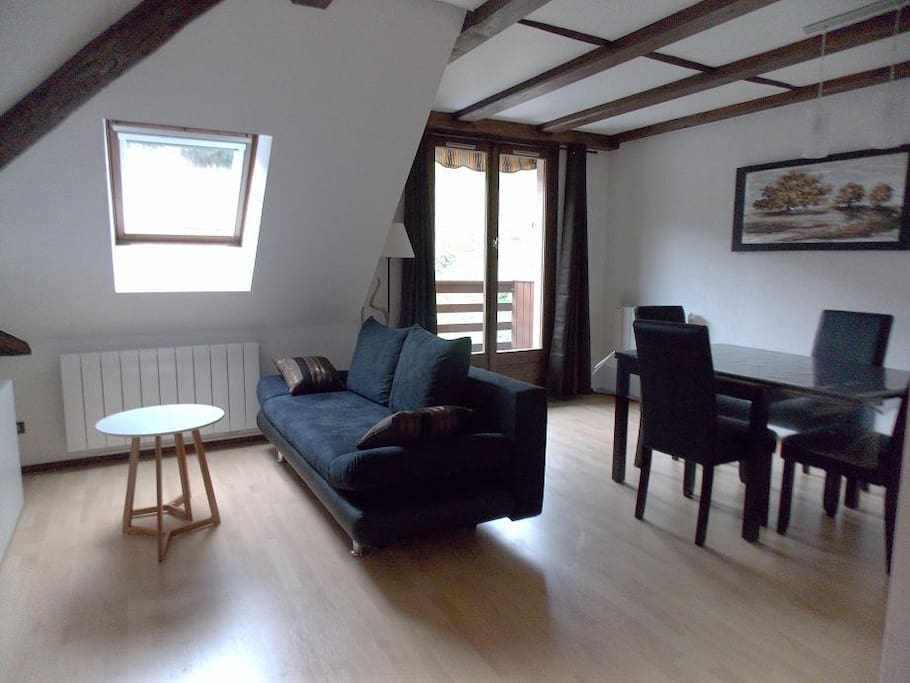 Salon/salle à manger