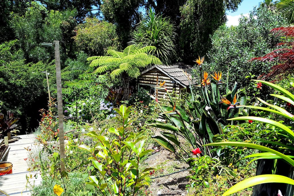The fabulous backyard and garden of our home.
Here is a log cabin playhouse we made for our kids.