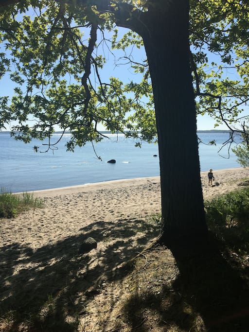 Aspö havsba